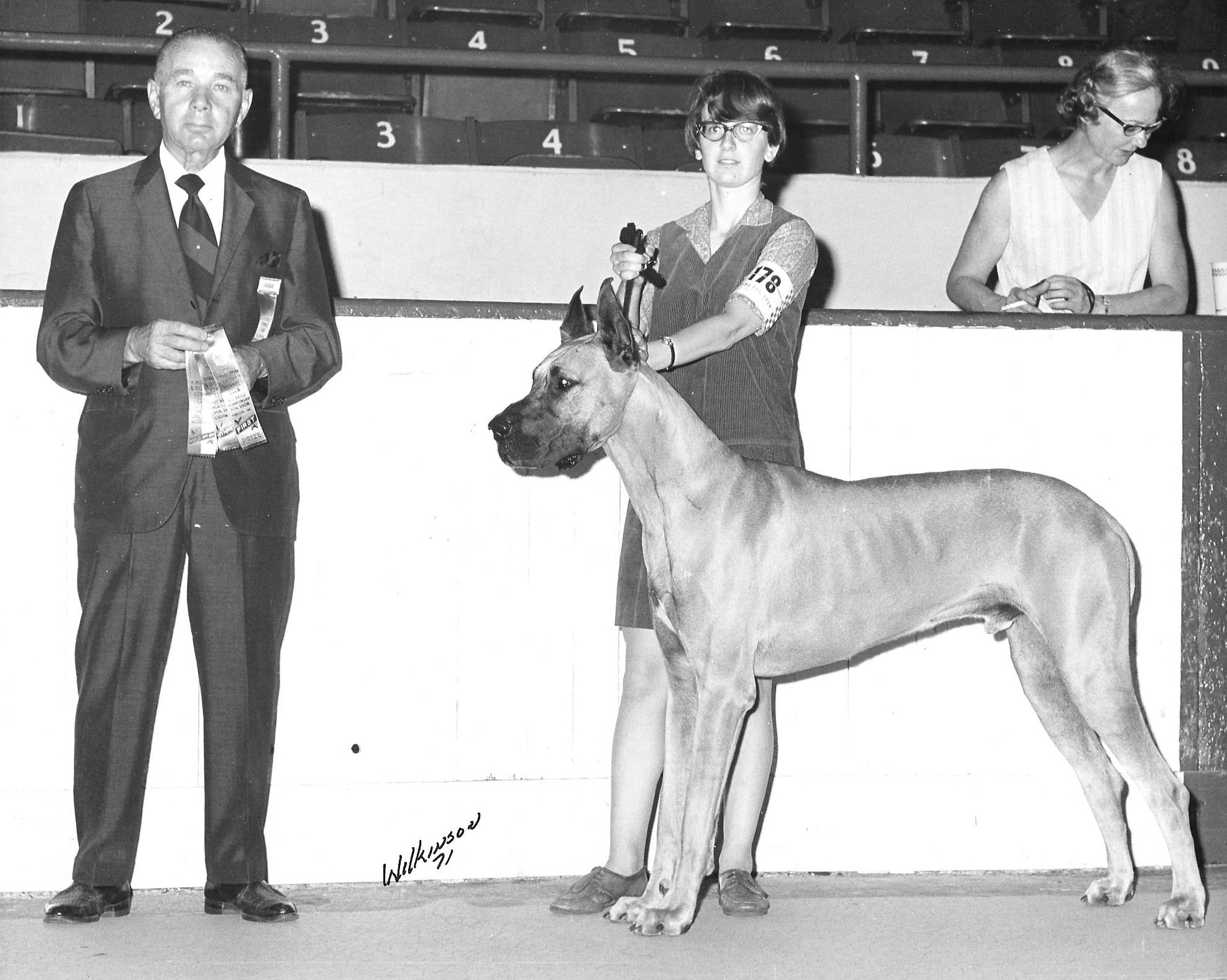 Bantrys Viscount Titandane